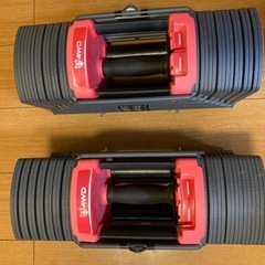 可変式ダンベル 40kg2個　ホームジム　の画像