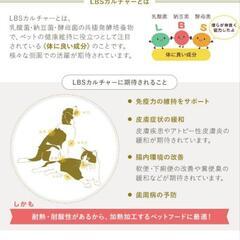 プロフェッショナル・バランス 超小粒 1歳まで 子いぬ用 2.4kg（400g×6袋）

の画像