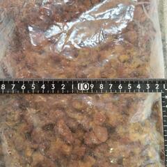 溶岩石 ろ材 アクアリウム 水草 多肉 爬虫類 両生類 ガーデニングの画像