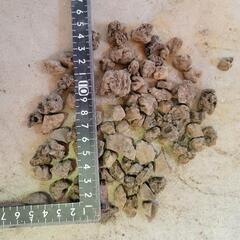 溶岩石 ろ材 アクアリウム 水草 多肉 ガーデニング 爬虫類 両生類の画像