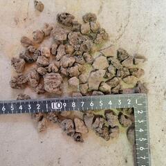 溶岩石 ろ材 アクアリウム 水草 多肉 ガーデニング 爬虫類 両生類の画像