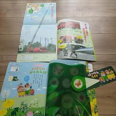 幼児絵本(年中向け)　ワンダーブック　12冊の画像