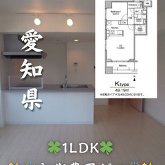 【初期費用ゼロ🙌】愛知県名古屋市 1LDK 家賃11.9万…