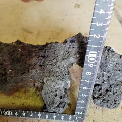 溶岩石 ろ材 アクアリウム 水草 多肉 爬虫類 両生類の画像