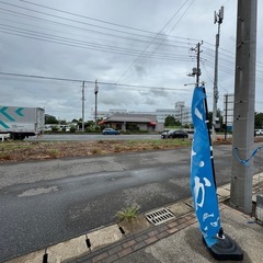 たまにはメダカ種親放レベル出します。の画像
