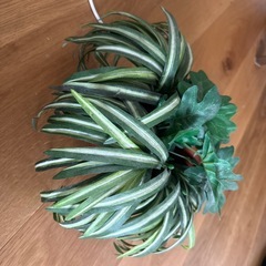 造花ライトの画像