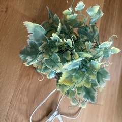 造花ライトの画像