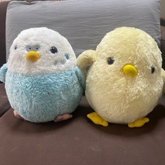 インコのぬいぐるみの画像