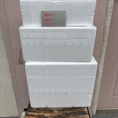 発泡スチロール箱※次のゴミの日に捨てますの画像