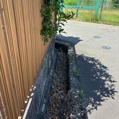植栽の伐採・除草作業 - 便利屋