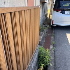 植栽の伐採・除草作業 − 兵庫県