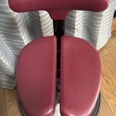 アーユルチェア　クッション付きの画像
