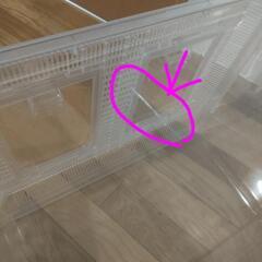 水槽　飼育容器　プラケース　2個の画像