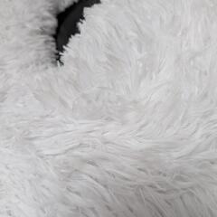 【新品】ペットのベッドの画像