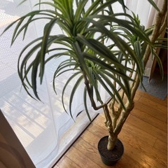 造花 大きめ フェイク観葉植物 フェイクグリーン 観葉植物 植物 フェイク　インテリア　ドラセナ　フェイク観葉植物　インテリア　大きめ【お取引中】の画像