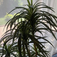造花 大きめ フェイク観葉植物 フェイクグリーン 観葉植物 植物 フェイク　インテリア　ドラセナ　フェイク観葉植物　インテリア　大きめ【お取引中】の画像