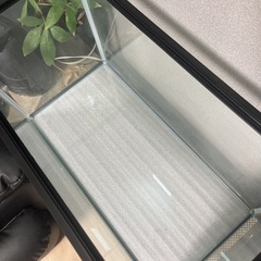 60センチ水槽＋お手製の蓋の画像
