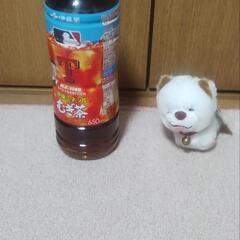 ⑧ぬいぐるみの画像