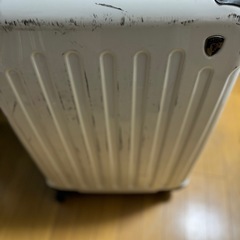 Griffin Landのスーツケースの画像
