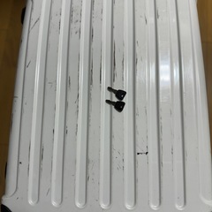Griffin Landのスーツケースの画像