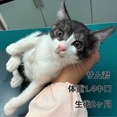 まだまだびびりな男の子♂︎