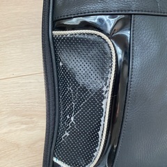 NIKEゴルフシューズバッグの画像
