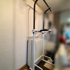 BODY RAJA パワータワー ぶら下がり健康器 懸垂マシンの画像