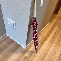 傘の画像