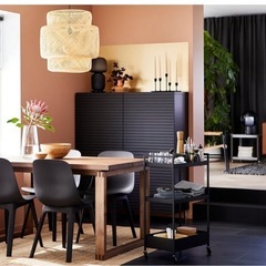 IKEA ODGER イケア オドゲル 
ダイニングチェア   　の画像