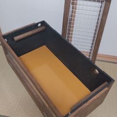 爬虫類 自作ケージ フトアゴ アオジタの画像