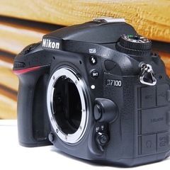 Nikon D7100 ボディ 美品 51点AF 高画質 動画 フルHDの画像