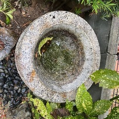 石臼　の画像