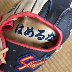 グローブの画像