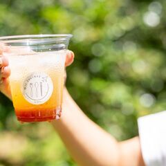 【京都市内イベント勤務】クラフトドリンクブランド「Wir Journey」POP-UP イベント店頭スタッフ募集（時給1,100円／交通費全額支給）の画像