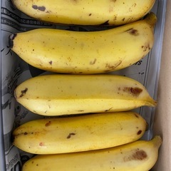 島バナナ500円〜の画像