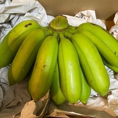 島バナナ500円〜の画像