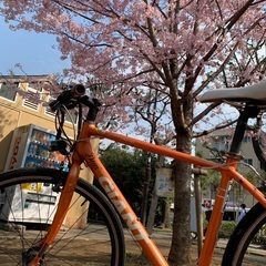ジャイアント　ロードバイクの画像