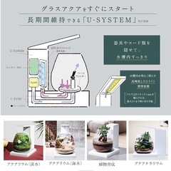 インテリア水槽ヒーター付きの画像