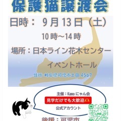 保護猫譲渡会in花木センター 20250913