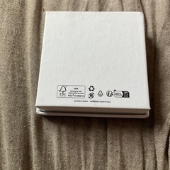 Celineイヤリングいれの画像
