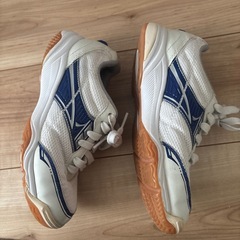 ムーンスター　22.5㎝　moonstar 体育館シューズの画像