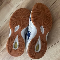 ムーンスター　22.5㎝　moonstar 体育館シューズの画像