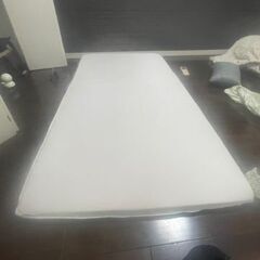 ★トゥルースリーパー（True Sleeper）・シングルサイズ差し上げますの画像