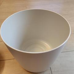 【受取者決定】家庭用水素水発生器 グリーニングスパの画像