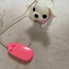 チワワの画像