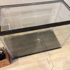 ガラス水槽　gexの画像