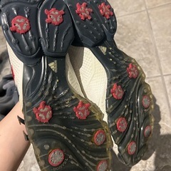 adidas、Kaepa　の画像