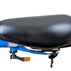 アイデス★D-Bike Master 12 （ディーバイクマスター 12）自転車の画像