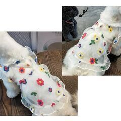 ８【新品】Sサイズ シースルーお花柄刺繍ワンピ＋アロハ白＋クークチュール保冷スカーフ（サックス）セットの画像