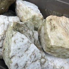 ロックガーデン用の石約50kgの画像